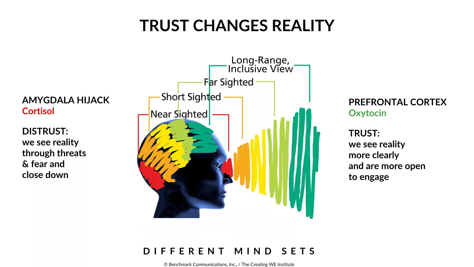 Trust Changes Reality Image for C-IQ Foundations of Trust